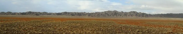 Poušť Gobi Mongolsku — Stock fotografie