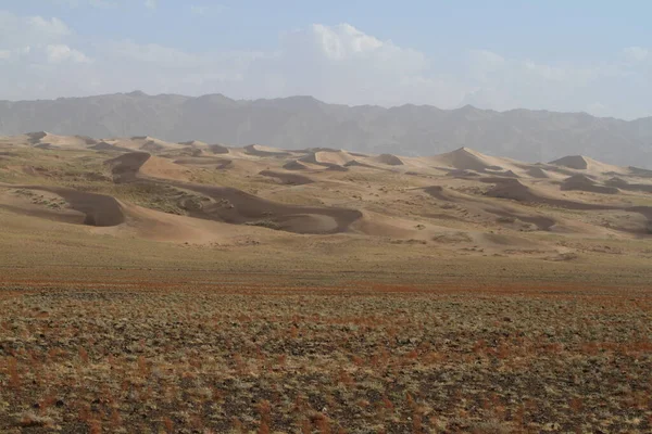 モンゴルのゴビ砂漠では — ストック写真