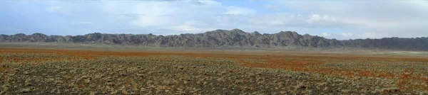 蒙哥利亚人的戈壁沙漠 — 图库照片