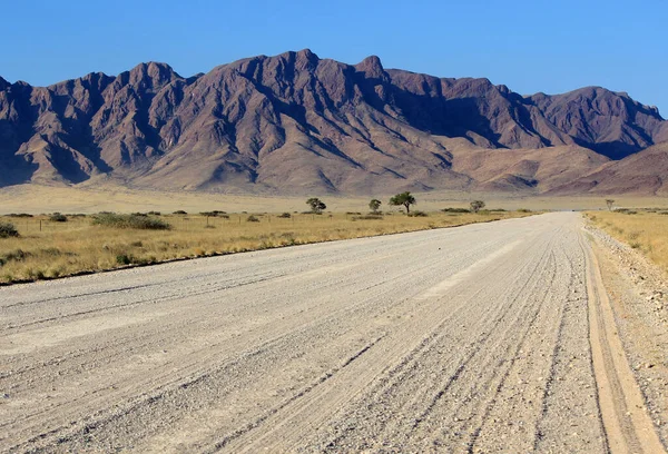 Grassy Savannah Βουνά Στο Παρασκήνιο Namib Έρημο Δρόμο Προς Sesriem — Φωτογραφία Αρχείου