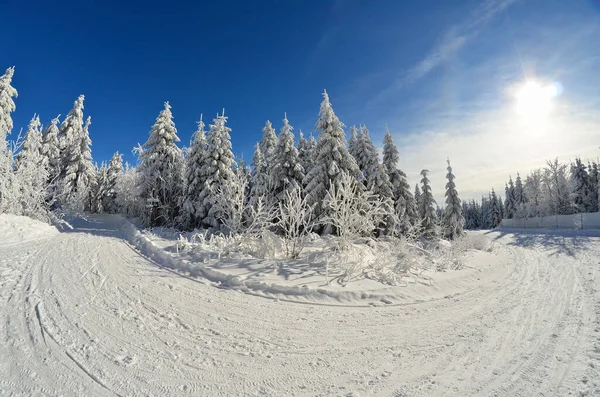 Inverno Sulla Testa Del Bue — Foto Stock