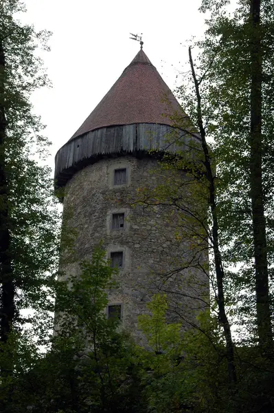 Castle Clam — стоковое фото