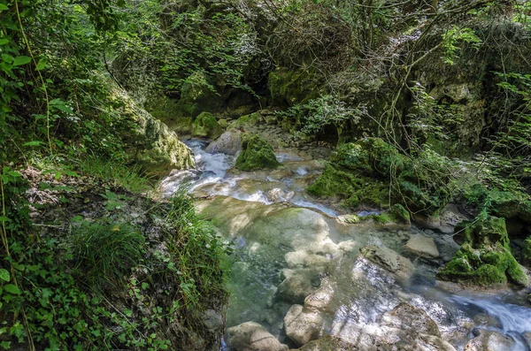 Beautiful River Deep Navarra Mountain Spain — Stock Photo, Image