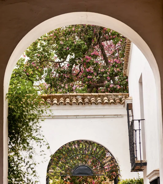 Weiße Hufeisenbögen Rosa Blumen Garten Botschafterzimmer Alcazar Königlichen Palast Seville — Stockfoto