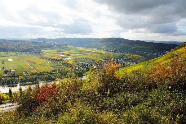 Earth Moselle River Autumn — стоковое фото