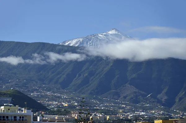 Taide Puerto Cruz — Stock Photo, Image