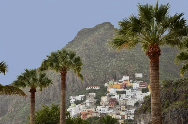 Tenerife Spagna Più Lagest Isole Canarie Largo Dell Africa Occidentale — Foto Stock