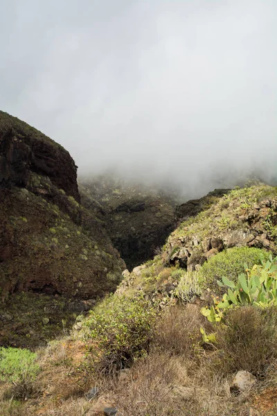 Tenerife Lagest Spains Canary Islands West Africa — Stock Photo, Image