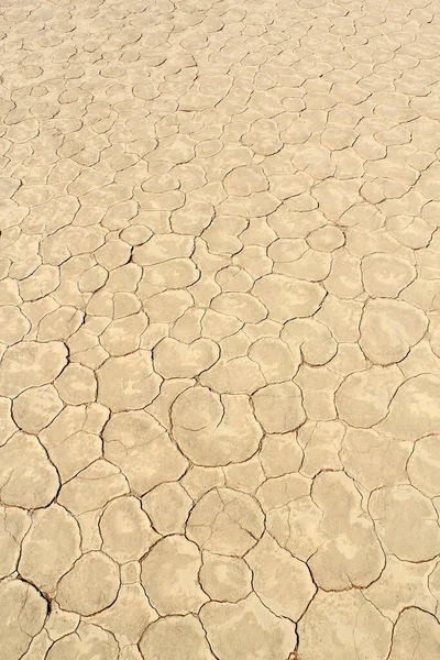 Λεπτομέρεια Εδάφους Ενός Ξηρού Τηγανιού Στους Αμμόλοφους Sossusvlei Στην Έρημο — Φωτογραφία Αρχείου