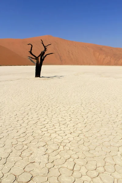 Sossusvlei Dode Vallei Landschap Nanib Woestijn Bij Sesriem Namibië — Stockfoto