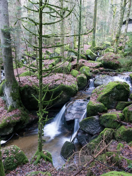 Watervallen Watervallen Gertelsbacher Watervallen — Stockfoto