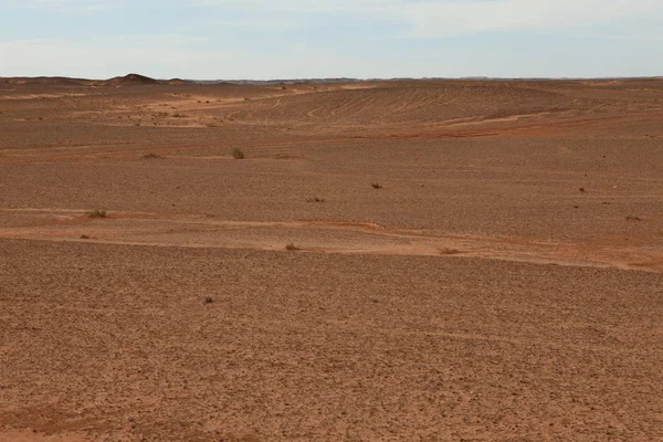 Die Unendlich Weite Steppe Der Mongolei — Stockfoto