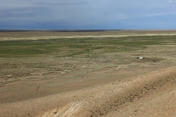 Vaste Étendue Des Steppes Mongolie — Photo