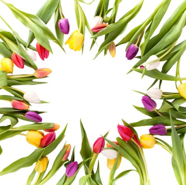 view of beautiful spring flowers  clipart