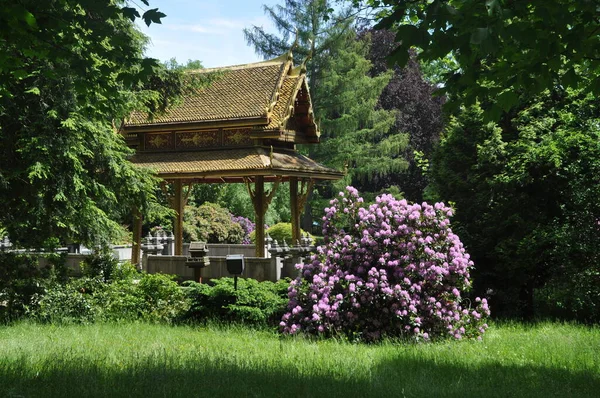 Temple Thaï Dans Mauvais Homburg — Photo