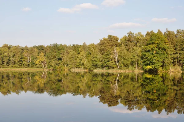 Mochowsee Kleine Perto Lieberose Região Spreeaue — Fotografia de Stock