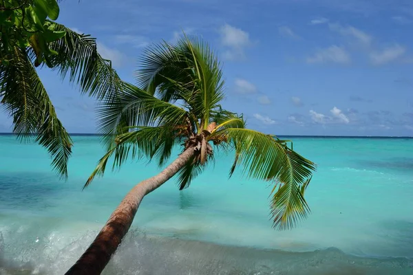 Sonho Férias Maldivas Ilha — Fotografia de Stock