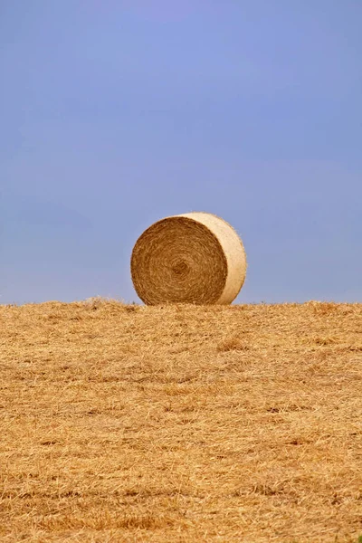 Campo Agrícola Com Fardos Palha — Fotografia de Stock