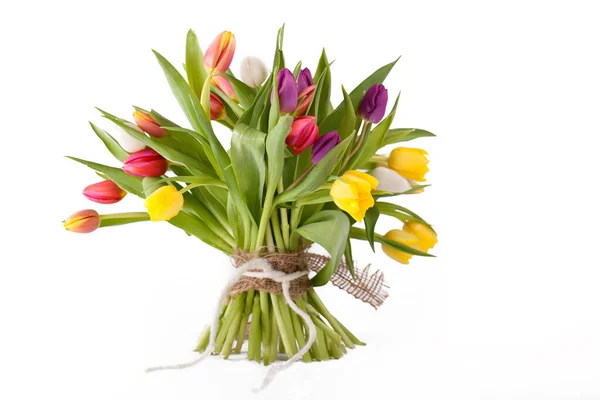 Fleurs Tulipes Colorées Flore — Photo