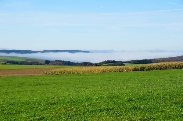 Mist Valleien Velden Zon — Stockfoto