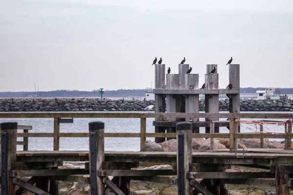 Arsitektur Yang Berbeda Fokus Selektif — Stok Foto