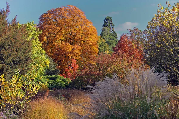 Autumn Colors City Park — Stock Photo, Image
