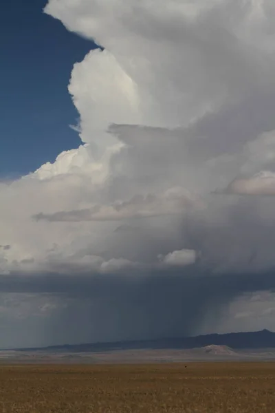 蒙哥马利草原上的雨季 — 图库照片