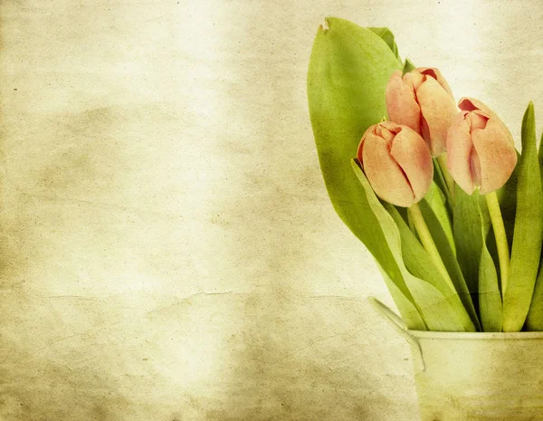 Beautiful Pink Tulips Vintage Background — Stock Photo, Image