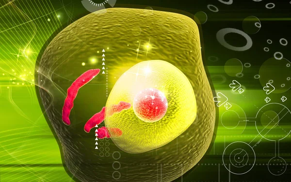 Digital Illustration Mänskliga Celler Färg Bakgrund — Stockfoto