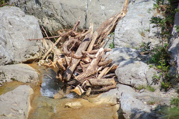 Vista Madera Aserrada Río Val Rosandra Italia —  Fotos de Stock