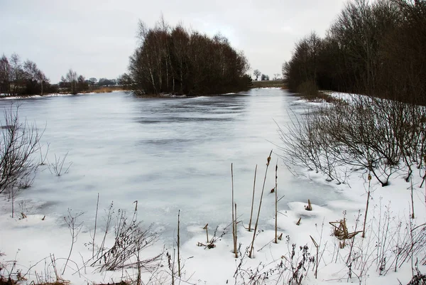Teich Mit Dünnem Eis Auf Der Schwedischen Insel Oland — Stockfoto