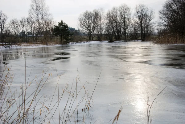 Spiegelungen Eisigen Teich Auf Der Schwedischen Insel Oland — Stockfoto