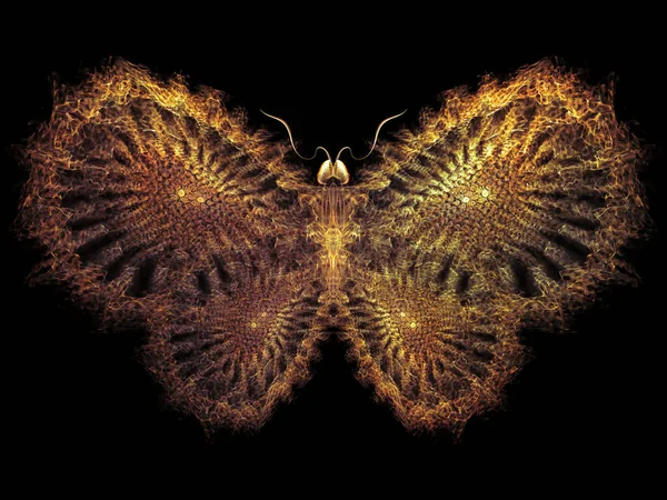 Never Were Butterflies Series Interplay Isolated Butterfly Patterns Subject Science — Stock Photo, Image