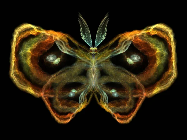 Nunca Fueron Las Mariposas Serie Composición Patrones Mariposa Aislados Con — Foto de Stock