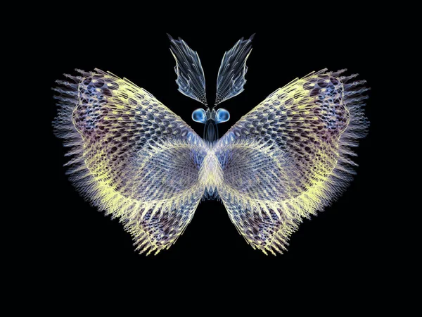 Ніколи Було Серії Метеликів Тло Дизайну Ізольованих Візерунків Метеликів Забезпечення — стокове фото