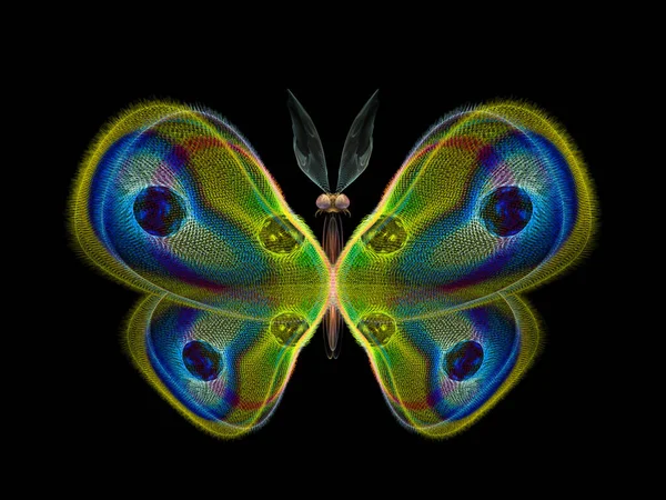 Motýli Nikdy Série Složení Fraktální Organických Textur Metaforické Vztah Vědě — Stock fotografie