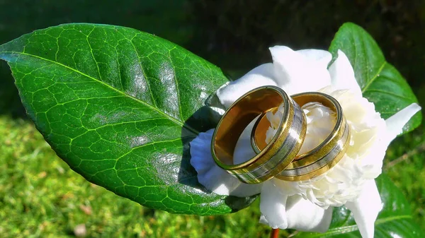 Joyería Matrimonio Anillos Compromiso Anillos Boda — Foto de Stock