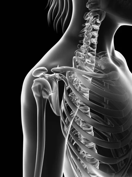 Transparent Female Skeleton Shoulder Joint — Stock Photo, Image