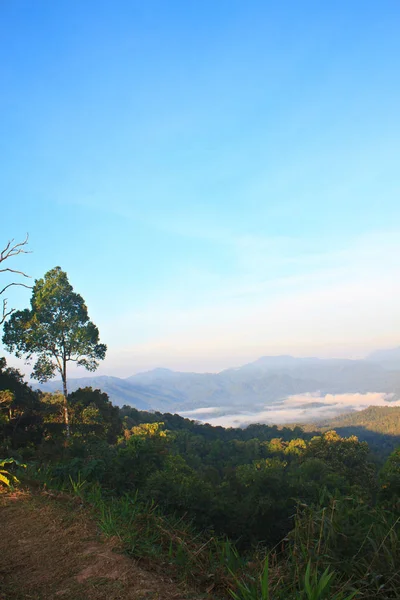 Mar Niebla Con Bosques Como Primer Plano Este Lugar Está — Foto de Stock