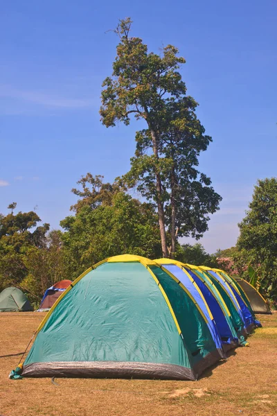 Buntes Zelt Auf Dem Zeltplatz Des Nationalparks — Stockfoto