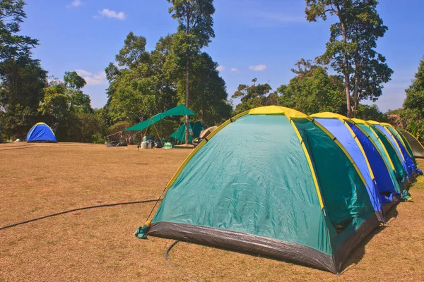 Красочная Палатка Территории Кемпинга Национального Парка — стоковое фото