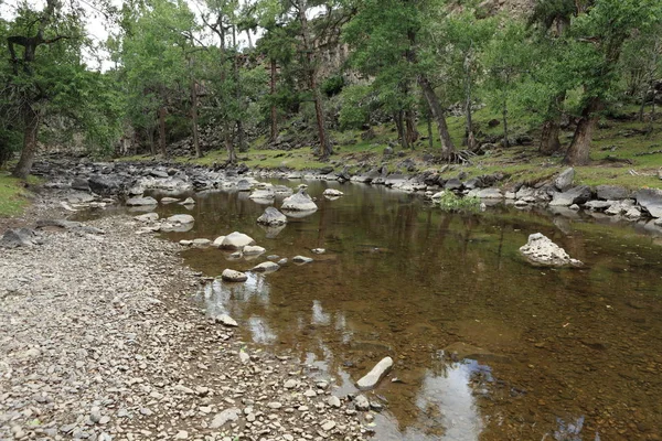 Красивый Водопад Фоне Природы — стоковое фото