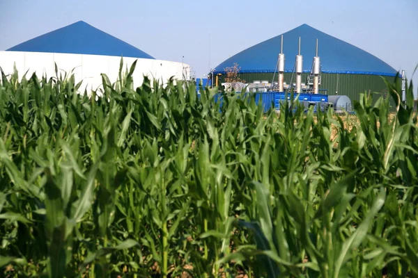 Fábrica Automática Biogás Comerciais Agricultura Digestor Anaeróbico — Fotografia de Stock