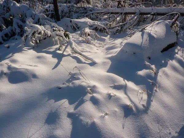 Pittoresk Uitzicht Natuur — Stockfoto