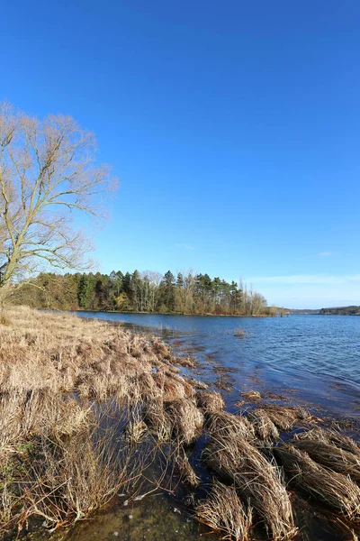 Anfang Februar Der See — Stockfoto