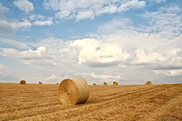 Mezőgazdasági Terület Szalmabálákkal — Stock Fotó