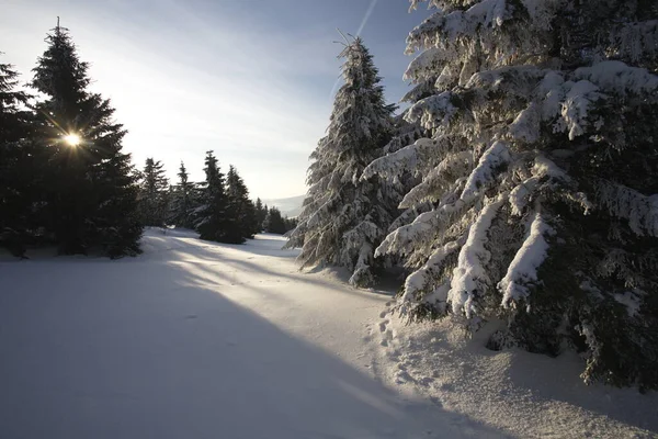 Pittoresk Uitzicht Besneeuwde Winterlandschap — Stockfoto