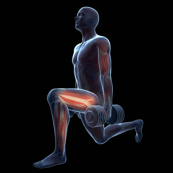 Rendered Illustration Man Doing Leg Workout — Stock Photo, Image
