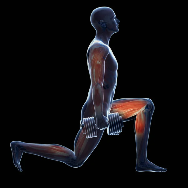 Оказана Иллюстрация Человека Делающего Ноги Тренировки — стоковое фото