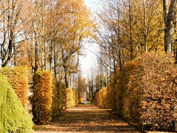 Malowniczy Widok Krajobraz Naturalny — Zdjęcie stockowe